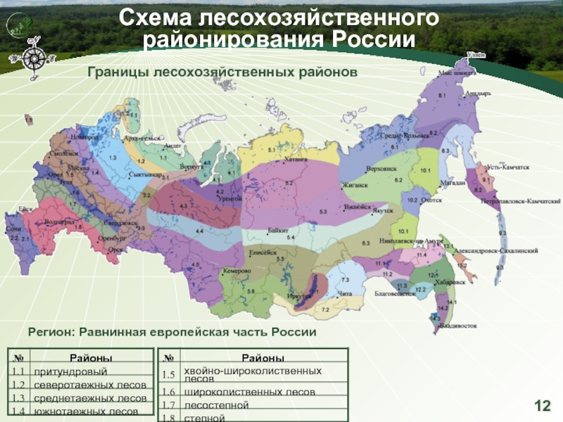 Реферат: Территориальная организация и районирование России