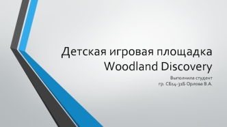 Детская игровая площадка Woodland Discovery
