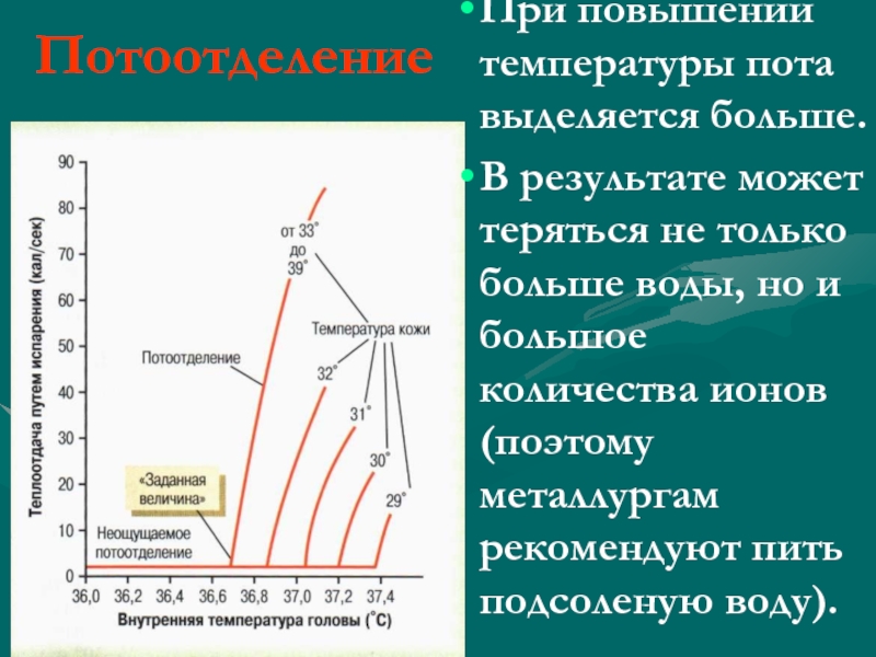 Почему повышается температура. При повышении температуры. Почему выделяется пот при температуре. При снижение температуры тела выделяется пот. Человек потеет при температуре.