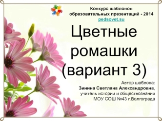 Цветные ромашки(вариант 3)