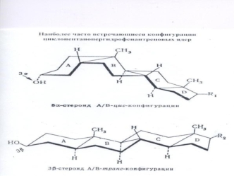 Неомыляемые липиды. Изопреноиды