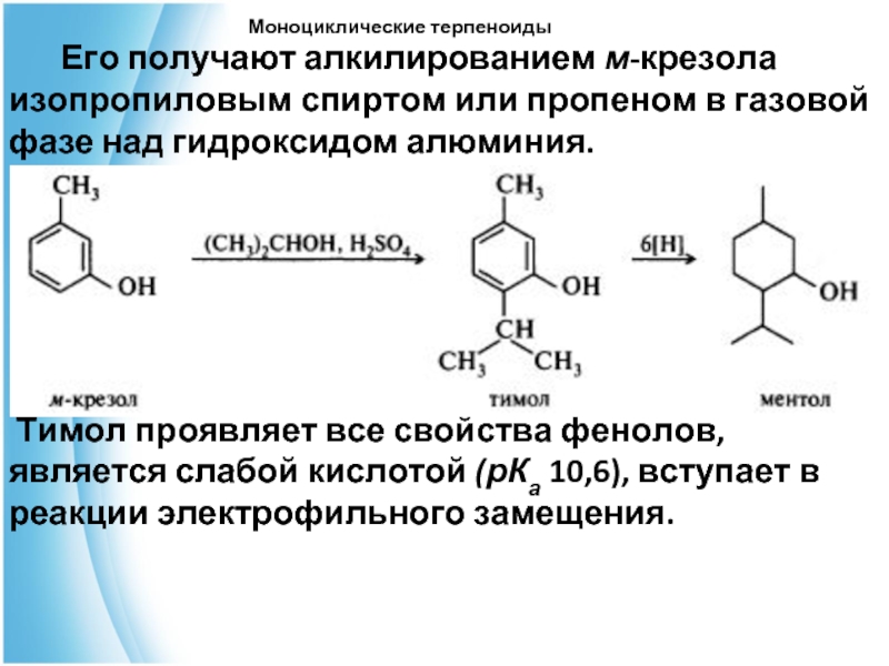 Получение м. Тимол из м-крезола. Синтез ментола из тимола. Моноциклические терпеноиды. Тимол терпеноиды.