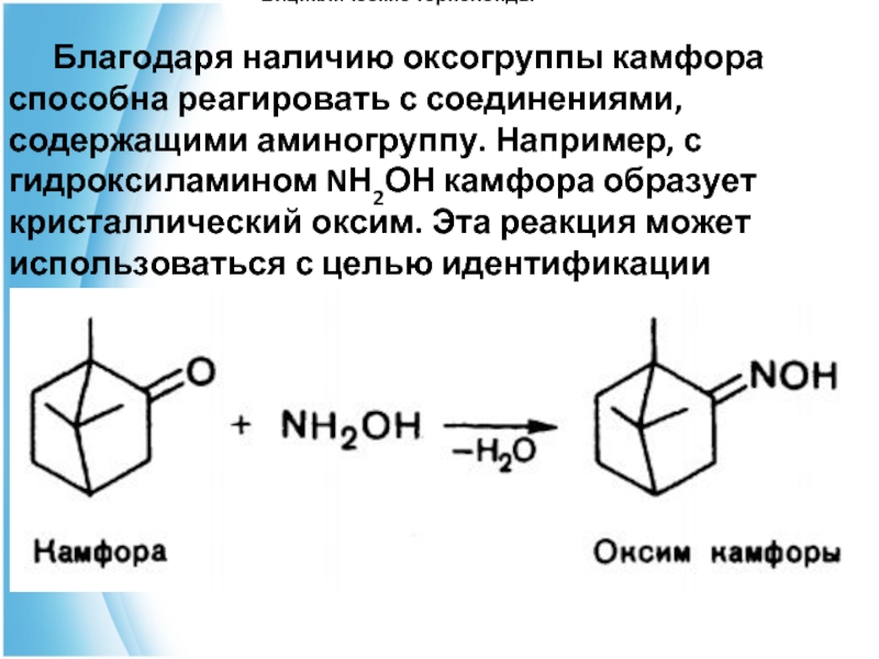 Камфора на латинском. Камфора br2. Камфора реакция образования оксимов. Камфора подлинность реакции. Камфора с гидроксиламином реакция.