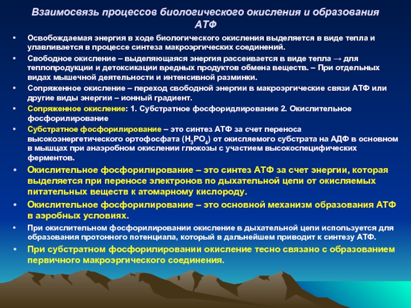 Соотношение процессов в образовании. Процессы биологического окисления дающие образование АТФ. Биологические процессы. Судьба энергии освобождаемой при Свободном окислении.