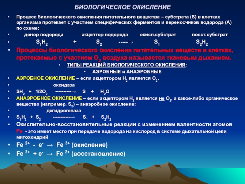 Биологическое окисление в митохондриях клеток