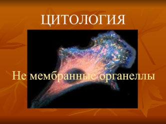 Цитология. Не мембранные органеллы