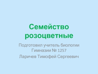 Семейство Розоцветные