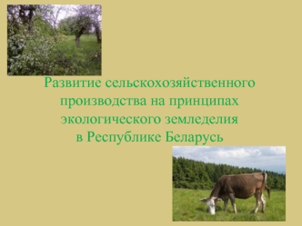 Развитие сельскохозяйственного производства на принципах экологического земледелия в Республике Беларусь