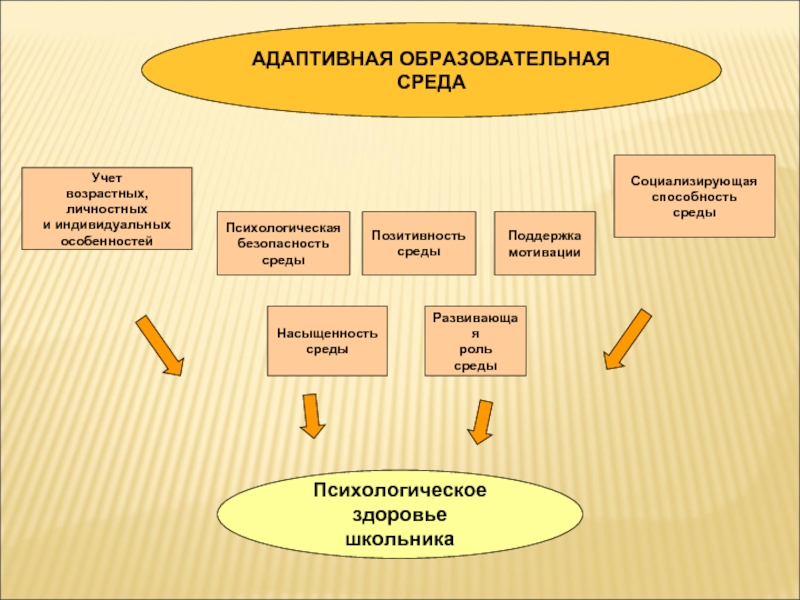 Адаптированное образование. Адаптивность учебного процесса. Адаптивность образовательного процесса это. Адаптированная образовательная среда. Адаптивная образовательная среда.