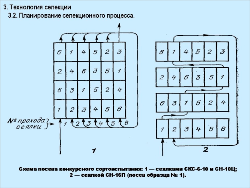 Схема селекционного процесса