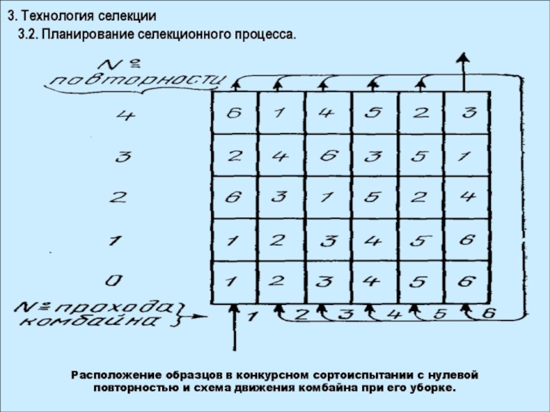 Схема селекционного процесса