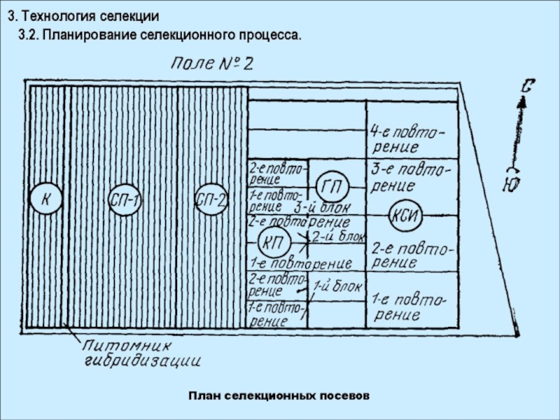 Схема селекционного процесса