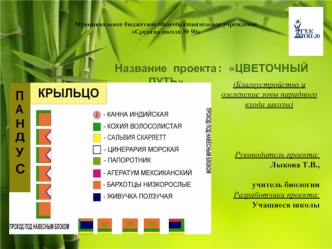 Проект: Цветочный путь (благоустройство и озеленение зоны парадного входа школы)