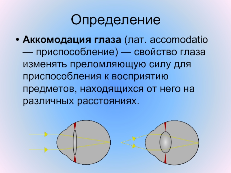 Основа аккомодации