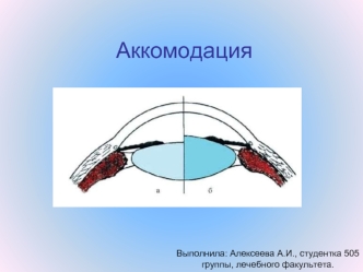 Аккомодация глаза