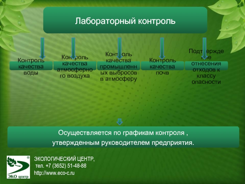 Производственный экологический мониторинг