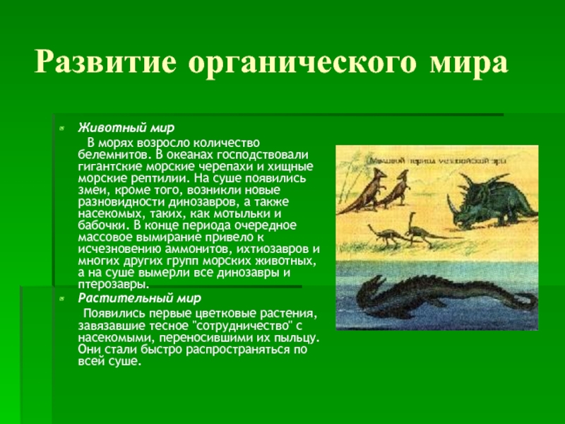 Основные этапы эволюции органического мира на земле презентация 11 класс