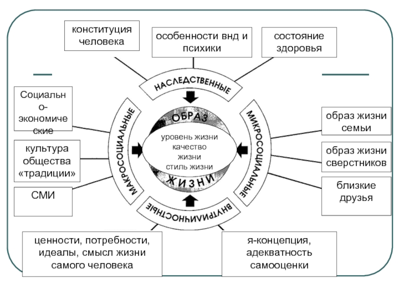 Структура образа жизни. Конституция человека образ жизни. Конституция о здоровье человека. Основная Конституция человека в ЗОЖ.