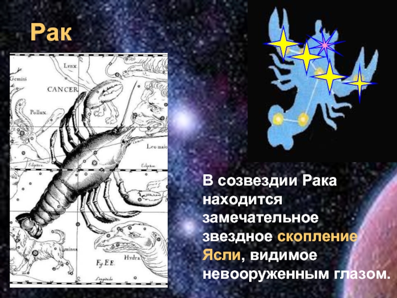 Презентация на тему созвездие рака 11 класс