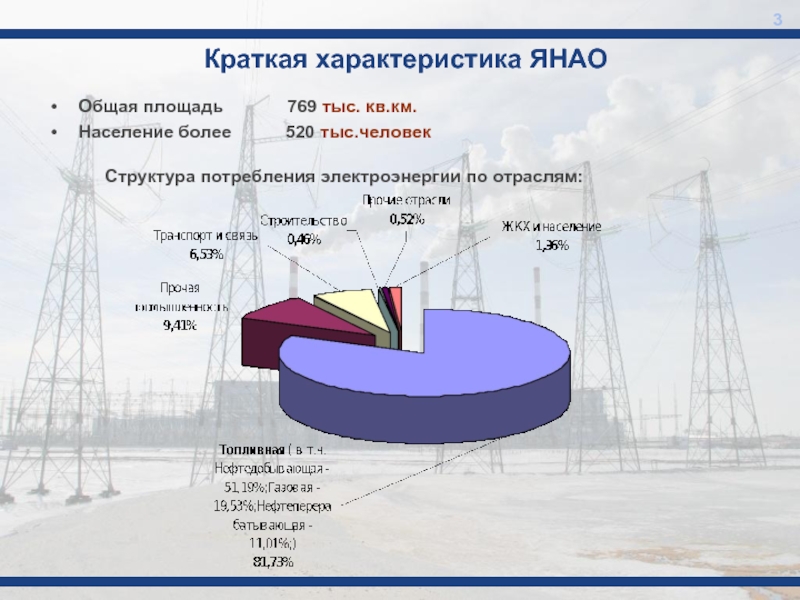 Экономика янао проект