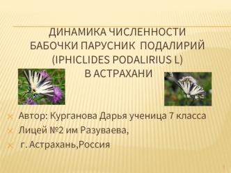 Динамика численности бабочки ПАРУСНИК  Подалирий(Iphiclides podalirius L)   в Астрахани