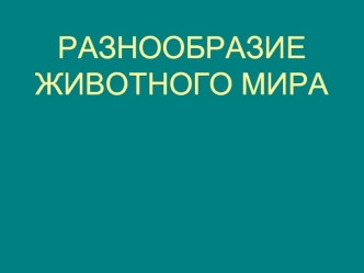 РАЗНООБРАЗИЕ ЖИВОТНОГО МИРА