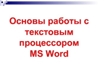 Основы работы с текстовым процессором MS Word