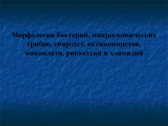 Морфология бактерий, грибов, спирохет, актиномицетов, микоплазм, риккетсий и хламидий