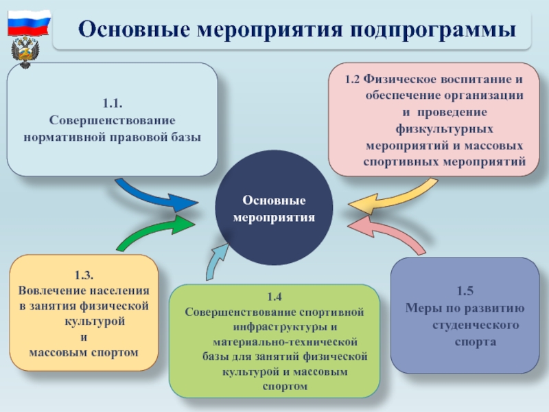 Направления деятельности проекта