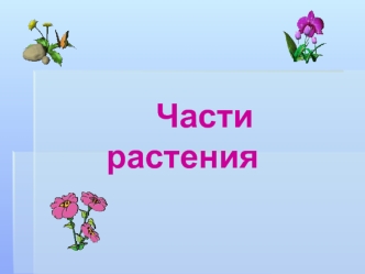 Части растения