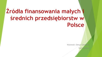 Źródła finansowania małych i średnich przedsiębiorstw w Polsce