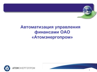 Автоматизация управления финансами ОАО Атомэнергопром