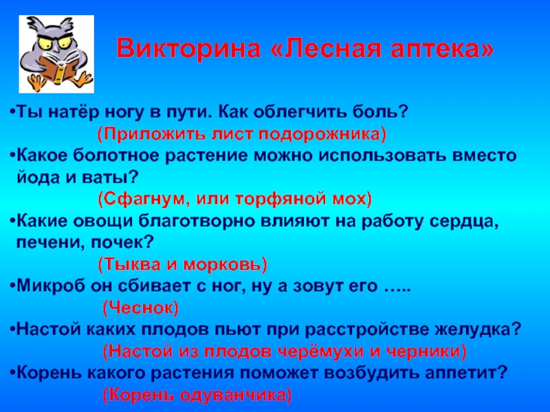 Лес вопросы ответы. Викторина про лес. Викторина о лесах. Викторина Лесная аптека. Викторина о лесе с ответами.