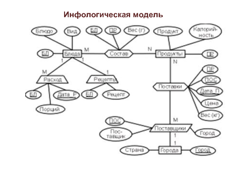 Инфологическая модель 2015. Инфологическая модель и схема данных. Инфологическая схема базы данных. Инфологическая модель БД ресторана. Парикмахерская инфологическая модель БД.