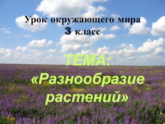 Разнообразие растений. (3 класс)