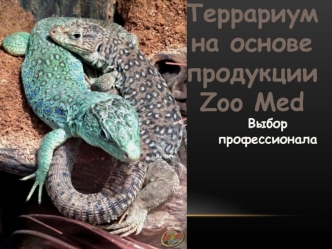 Террариум на основе продукции Zoo Med