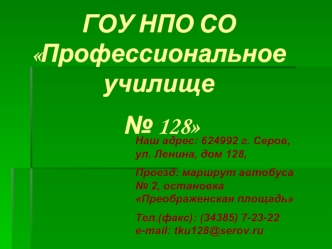 ГОУ НПО СО Профессиональное училище 
 № 128