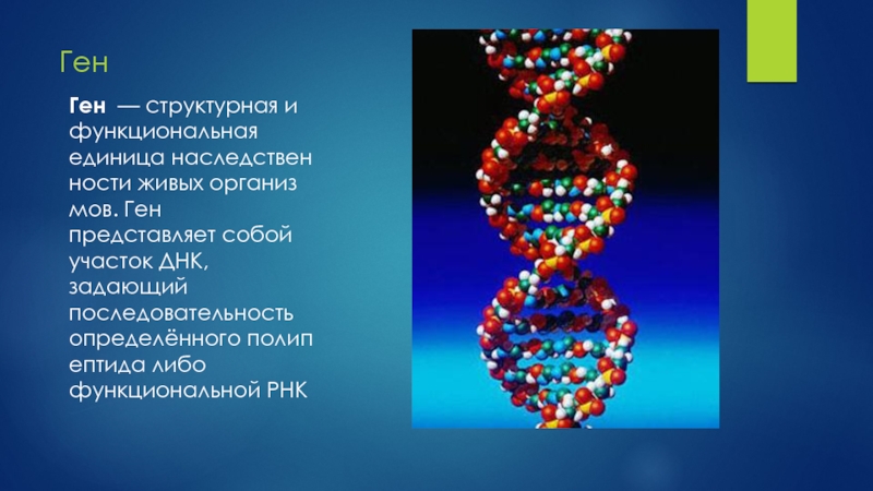 Ген биология 9. Ген для презентации. Что представляет собой ген. Ген участок ДНК. Ген структурная единица.