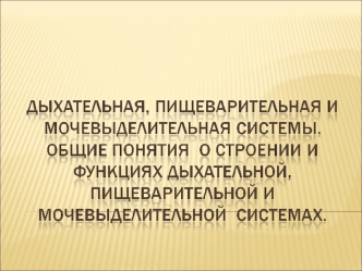 Дыхательная, пищеварительная и мочевыделительная системы