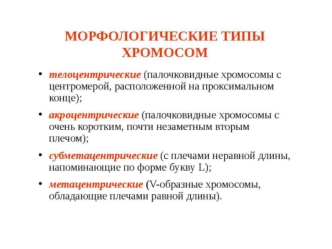 Морфологические типы хромосом