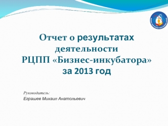 Отчет о результатах деятельности 
РЦПП Бизнес-инкубатора 
за 2013 год