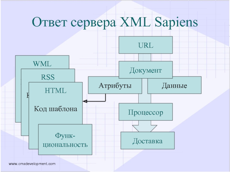 Ответ сервера. Данные и атрибуты. Формат ответа сервера. Содержимое кода дм.