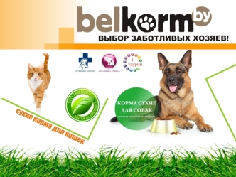 belkorm - сухие корма для кошек и собак