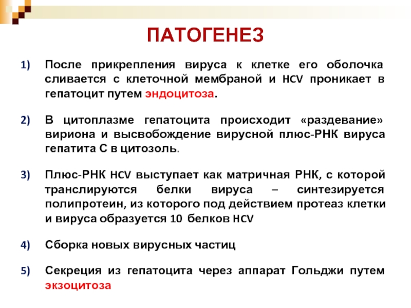 Плюс рнк вирусы. Прикрепление вируса к клетке. Плюс РНК. Вирус прикрепляется к клетке.