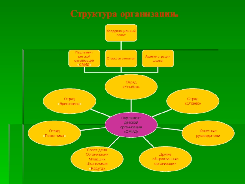 Структура детской организации