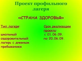 Проект профильного лагеря