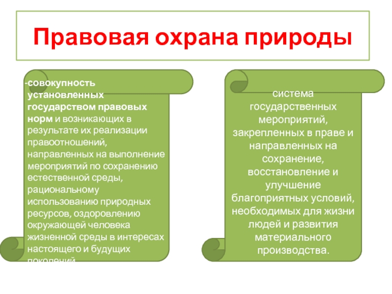 Доклад по теме Окружающая среда. Сохранение благоприятной среды