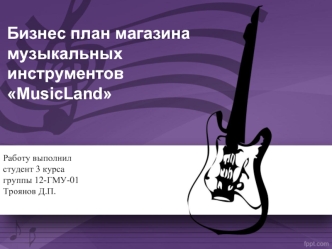 Бизнес план магазина музыкальных инструментов MusicLand