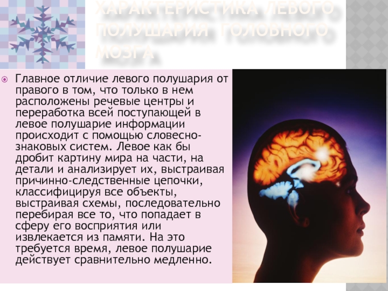 Развитие речи мозга. Левое полушарие головного мозга. Различие левого и правого полушария мозга. Левое полушарие речь. Характеристики левого полушария.
