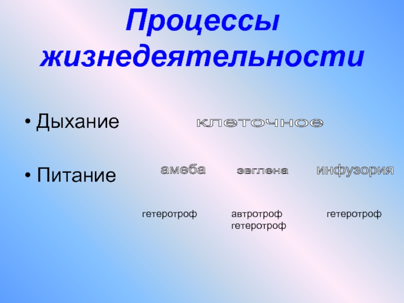 Класс жизнедеятельность организмов. Процессы жизнедеятельности животных. Основные процессы жизнедеятельности животных. Основные процессы жизнедеятельности животных таблица. Строение и процессы жизнедеятельности животных.